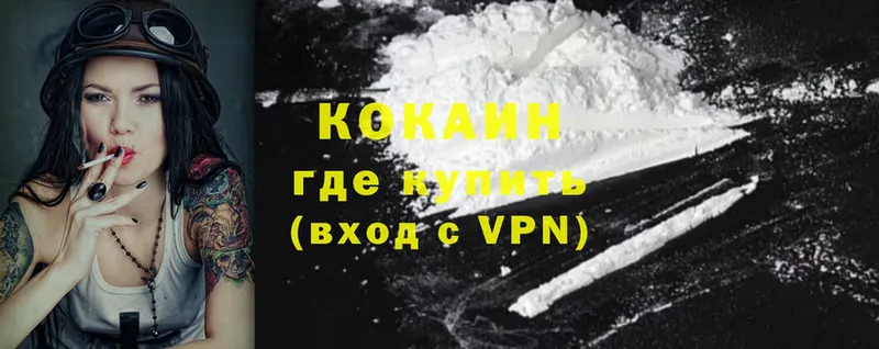 shop как зайти  Грязовец  Cocaine VHQ 